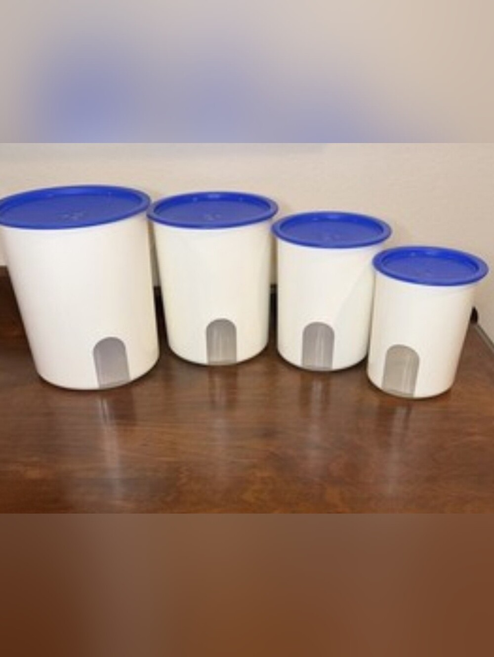 Set Of 4 Tupperware Canisters With Clear Window And Blue Lids! Sm, Md, L, XL